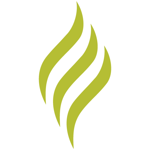 Prosumer Coffee Machines Prosumer Coffee Machines